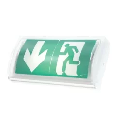 Vertiv aees 6222888 Baes d'Èvacuation astus ecoled 45 lumens 1H/0,5W/ip43/ik08/Sati