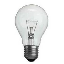 Leuci Ampoule classique claire à incandescence 150W E27 230v