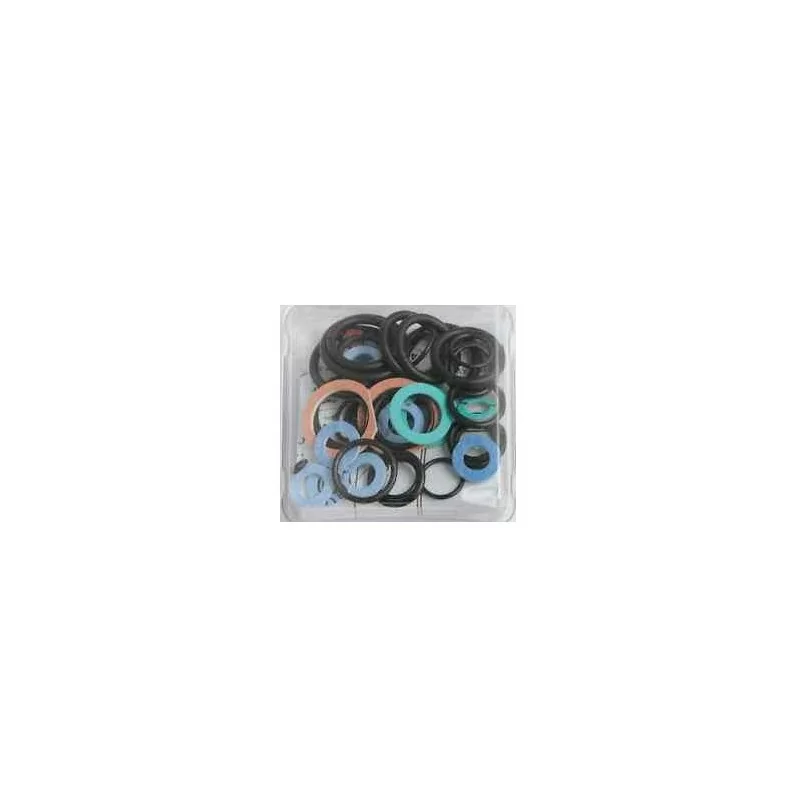 Frisquet F3AA40293 Pochette de joints tous modËles AP88