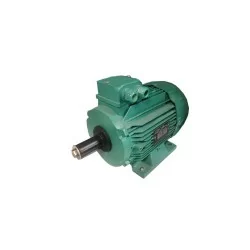 Leroy-somer LS100LT Moteur triphasÈ 230/400V